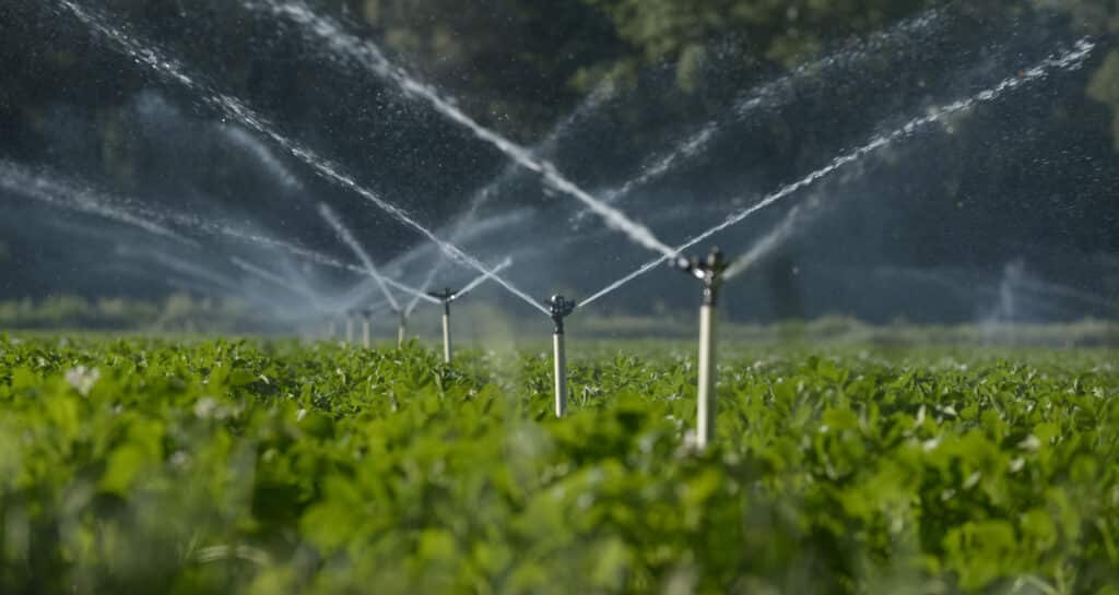 water for agriculture